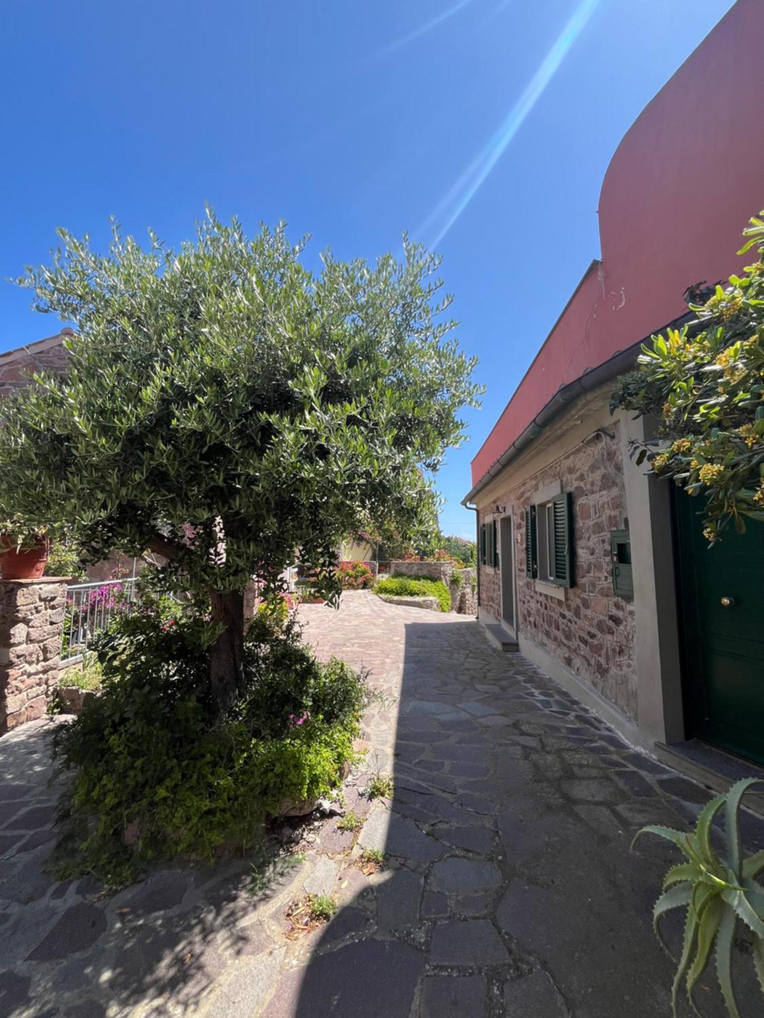 Casa Vista Castello Villa Capraia Eksteriør bilde